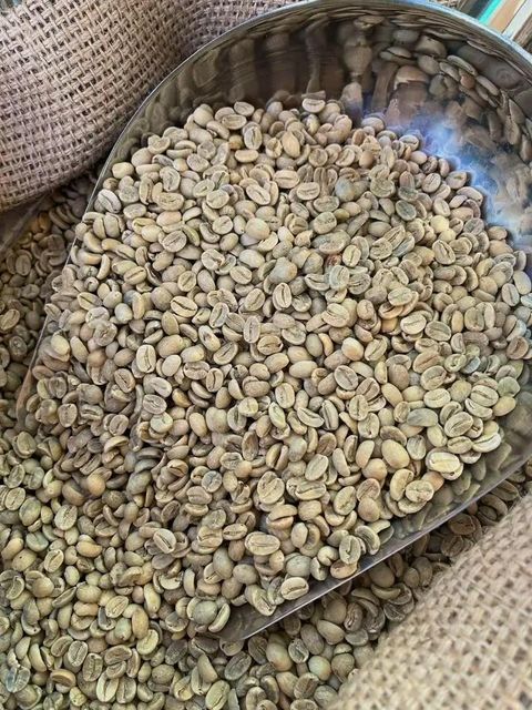 Arabica Coffee Beans – Premium Grade for sell at affordable rates – product photo 4, product detail gallery
