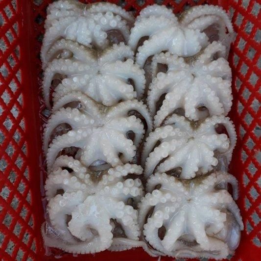 Fresh And Frozen Seafood Octopus Frozen Octopus For Sale. - Image 5
