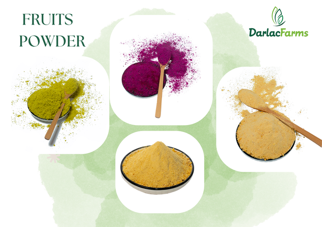 Fruits Powder - Banana - Mango - Durian - Dragon fruit - Standard: ISO 2200, FDA, BRC - Image 1