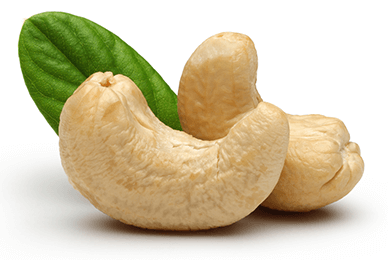 DEHYDRATED FRUITS Texture Dry, Firm Form Dehydrated, Slices Color Green, Lime, Orange, Yellow Flavor Profile Citrus, Sweet, - Image 7
