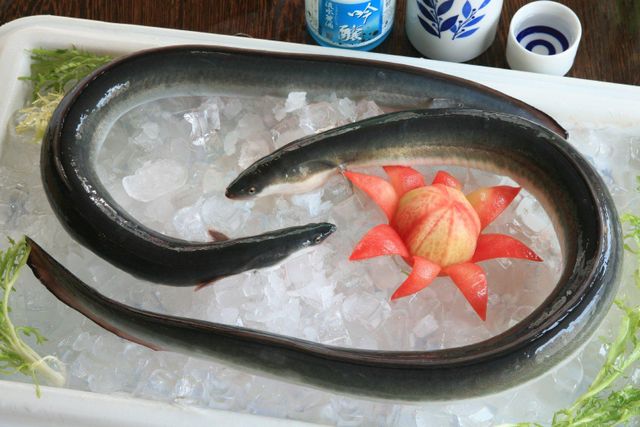 Frozen Raw Eel Glazing 10% Packing In Bulk, 10kg/ctn Species Anguilla Rostrata Minimum Order Quantity 1x20ft & 1x40ft Price Term Fob Any Port In Fujian - Image 3