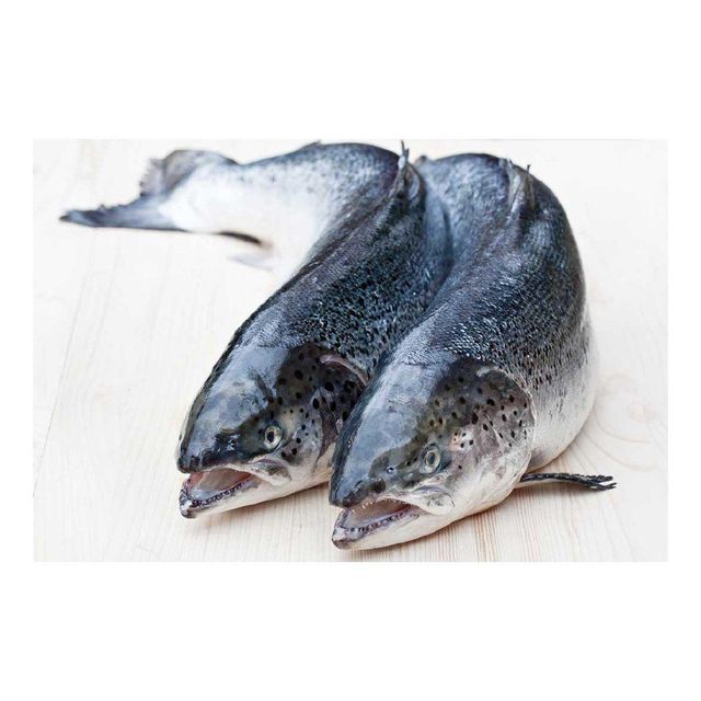 Salmon Fish Frozen Fillet Fresh And Frozen Atlantic Salmon Fish/Whole Frozen Salmon/Salmon Head For Sale. - Image 4