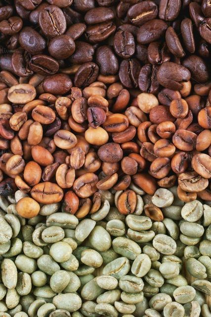 Premium Coffee Beans – High-Quality Arabica and Robusta Beans for Wholesale and Export - Image 3