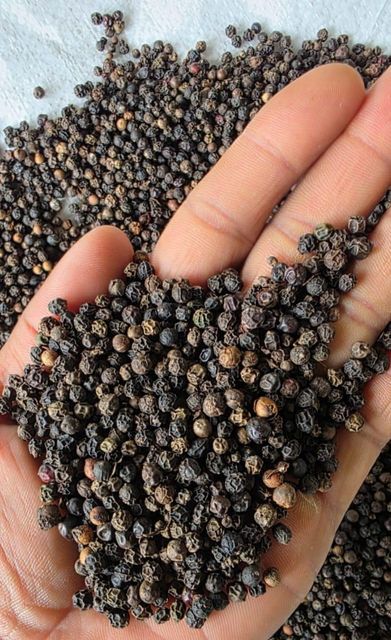 Ceylon Black Pepper Active Compound Piperine Additional Extracts Oleoresin And Essential Oil Primary Application Food Industry Seasoning And - Image 1