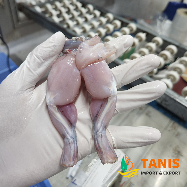 High quality frog legs / Wholesale export frog legs frozen food from Vietnam best Supplier - Image 3