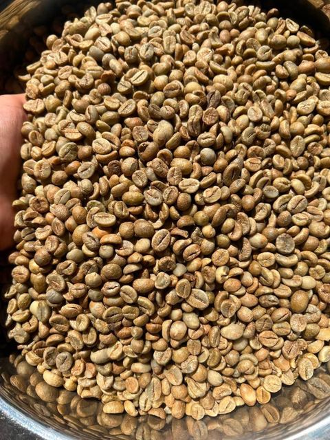 Coffee - Image 17