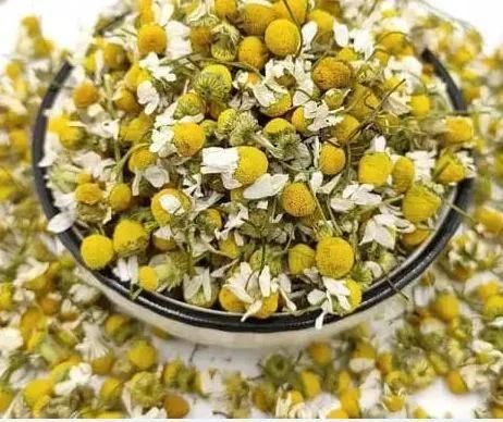 Premium Egyptian Dried Chamomile Flowers | Grade A - Natural Whole Blossoms | High Essential Oil Content | Global GAP Certified | Organic Export - Image 4
