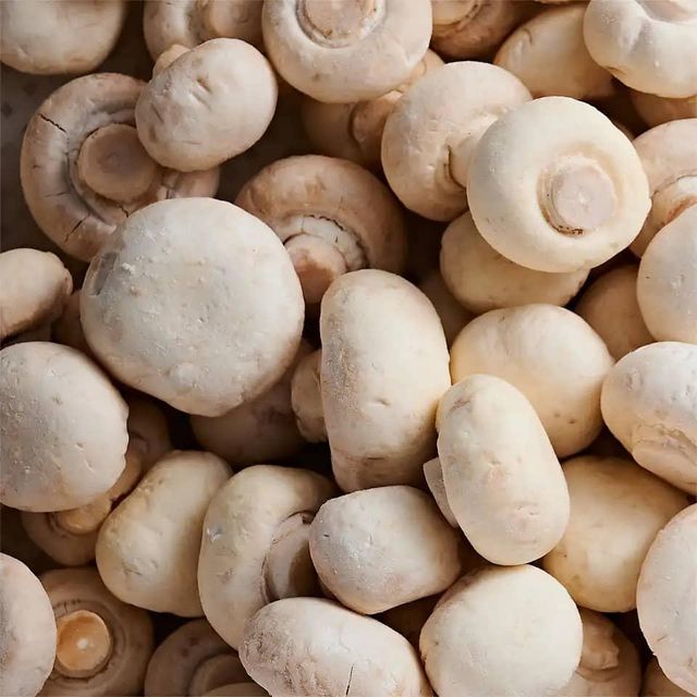Canned Mushroom Canned 400g Mushroom Hot Sale Canned Champignon Mushroom Slice in China +255787979235 - Image 2