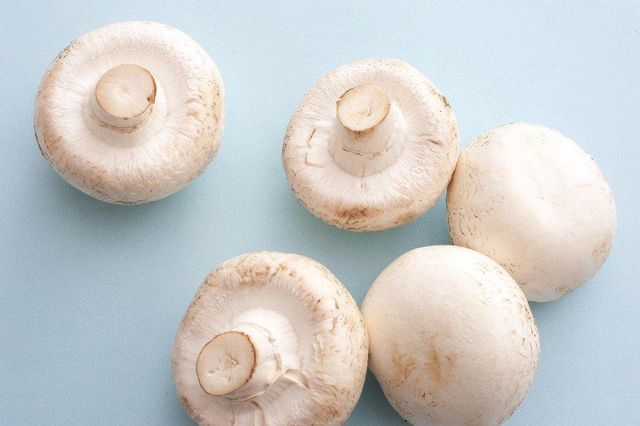 white mushroom Shape Rod Color White Size 5-6 cm Style FROZEN Certification ISO Brand Name Vdelta Type Oyster Mushroom Shelf Life 12 - Image 2