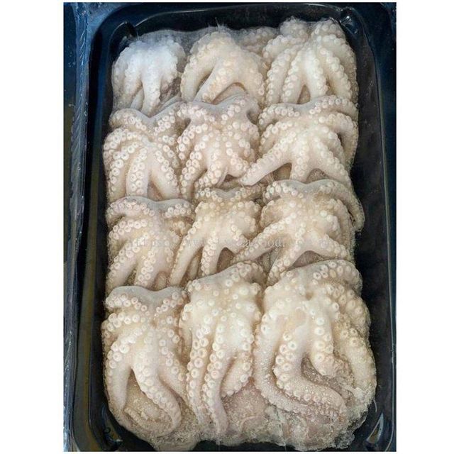 Frozen Baby Octopus Flowers / Baby Octopus IQF – product photo 2, product detail gallery
