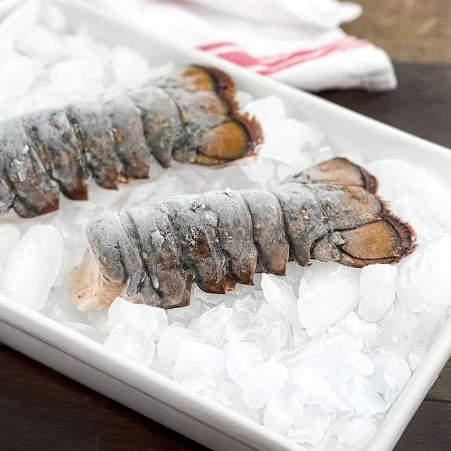 Deep Sea Frozen Lobster Processed Under Strict Handling Practices Delivering Fresh Ocean Taste In Every Batch - Image 5