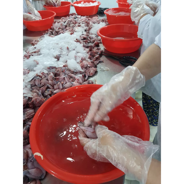 Good price for wholesale Frozen Skinless Bull frog legs meat competitive price for wholesale - Image 4