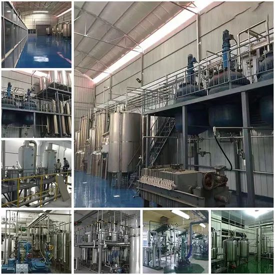 High Quality Food Additive Lactose CAS 63 42 3 - Image 4