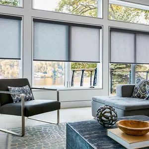 Transparent Horizontal Roller Blinds Kind Slat Origin China Style Modern Model NO. RB-009 Open Type Manual Trademark - Image 4