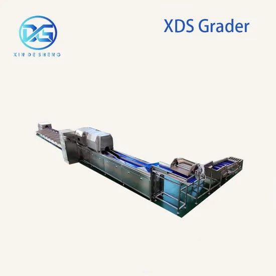 Persimmon Sorting Machine for Fruit Washing Packing Origin China Power 3.75kw Model NO. 0201 HS Code 84223000 Voltage - Image 3