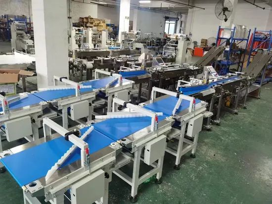 Skywin 530 Digital Automatic Packing Machine Multi-Function Flow Packing System for Manufacturer - Image 6