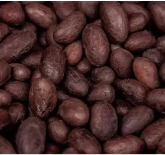 Dried Fermented Cocoa Beans - Image 1