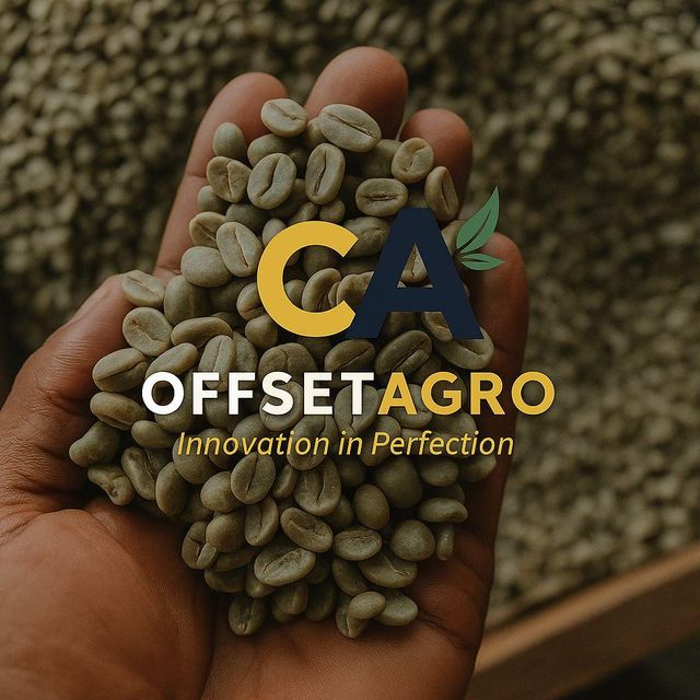 ARABICA COFFEE - Image 3