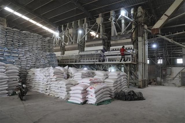 Vietnam Jasmine Rice (New Crop), Jasmine / DT8 Style Dried Color White Origin Vietnam Grain Length Long Grain Cultivation Type Common - Image 3
