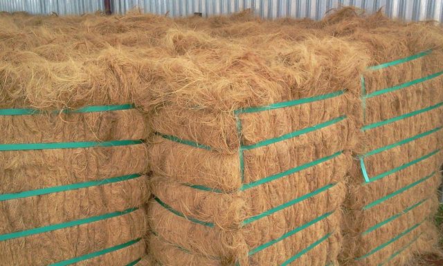 Coconut Coir Fibers Packaging Bale Max. Moisture (%) - Image 5
