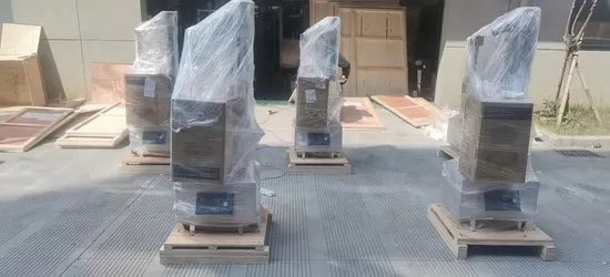 Capsule Polisher Equipment Origin Ruian Weight 350kg Voltage 220V Condition New Model NO. YPJ Trademark Ruian HS Code - Image 3