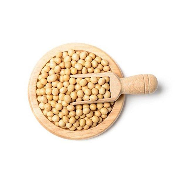Bulk supply of soybeans ready for sale with premium quality and high protein content - Image 3
