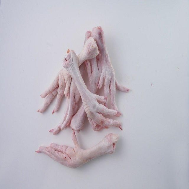 High Quality Frozen Chicken Feet | Bulk Price Frozen Chicken Feet From Top Supplier - Image 1