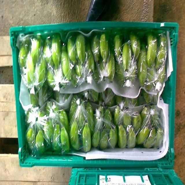 Fresh Organic Cavendish Bananas Handpicked Sweet 10kg for Wholesale and Retail Distribution - Image 1