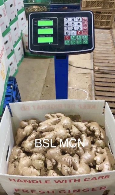 Fresh Ginger - Image 1