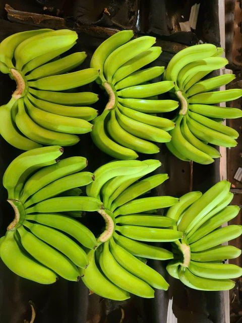 Cavendish Banana – product photo 3, product detail gallery