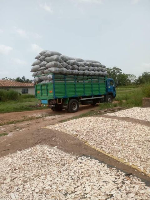 Peanuts & Cassava Chips Sand Stones Nil Weight (kg) 50kg Crude Fiber Max 5% Oil Content Min 45% Mold Infestation Nil Mold Live Insects Nil - Image 4