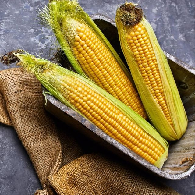 Export Yellow Corn Maize 50kg Strong Packaging Clean Grain High Purity Yellow Kernels Suitable For International Trade Feed Industry And Bulk Supply Buy Now Fast Delivery Premium Quality Wholesale - Image 4