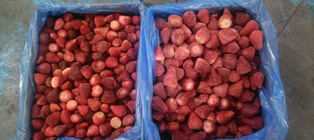 IQF (Individually Quick Frozen) whole strawberry Uncalibrated - 0,400kg/1kg/2,5kg and 10kg bulk packaging / EGYPT – product photo 4, product detail gallery