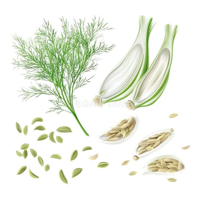 Fennel Seeds (Saunf) - Image 4