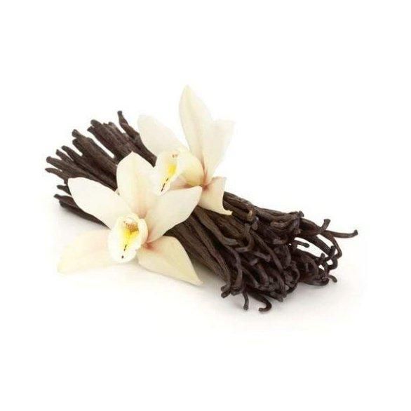 Premium quality Dried oily Vanilla whole Vanilla Beans for spice wholesale - Image 3