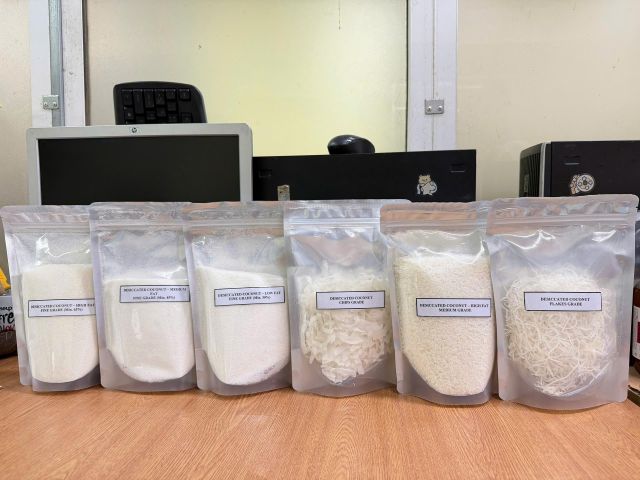 Offer for Desiccated Coconut Powder – High Fat Medium Grade Degree of Processing Dried - Image 1
