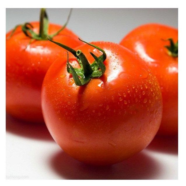 Fresh Tomatoes Frozen Fresh Cherry Tomatoes Price Grade A Texture Juicy Type Fresh Tomato Max. Moisture (%) 5 Freshness Fresh And Hand-picked - Image 1