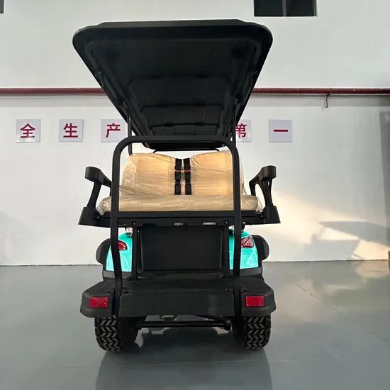 Cheap Custom Golf Cart Electric Golf Buggy Golf Equipment Seats 3-4 OEM Support Origin China Power 600-1700W Model NO. WT 2+2 - Image 5