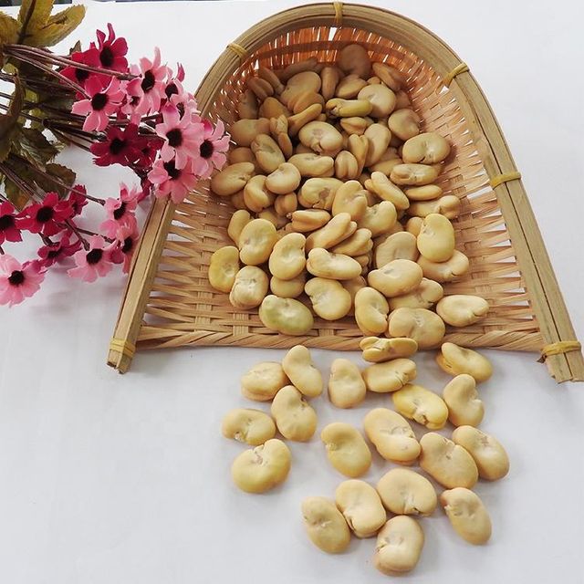 Peeled whole Broad Beans Peeled By hand wholesale - Image 5