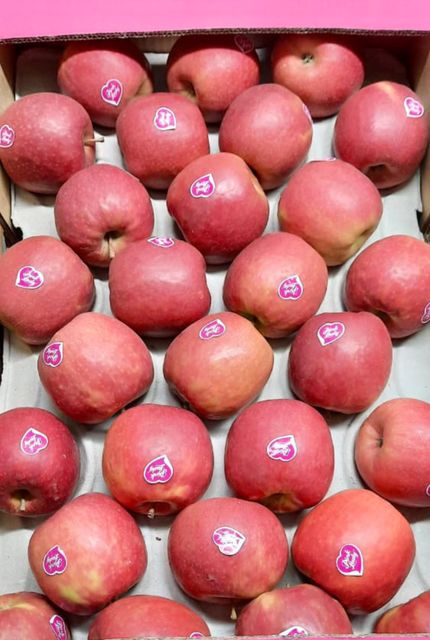 Fresh Pink Lady Apples available Organic Yes Variety Pink Lady Origin South Africa Degree of Processing Fresh - Image 5