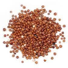Red Quinoa Seeds, Regular Size, Purity - 99.9 %, Indian Origin - Image 5