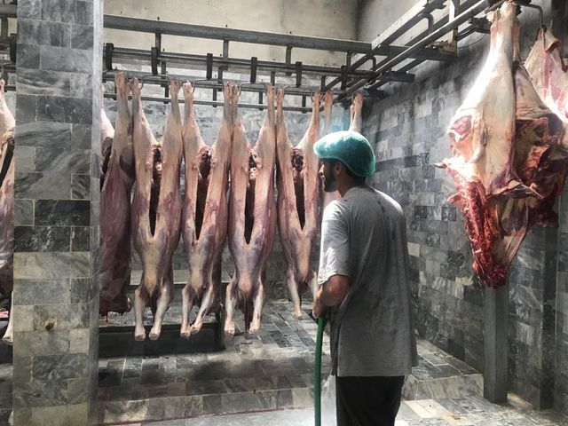 Buffalo meat - Image 1