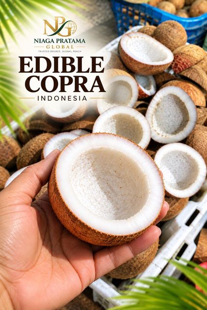 Premium Edible Copra - Dried Coconut Kernel, Moisture 3.6% from Indonesia - Export Quality - Image 3