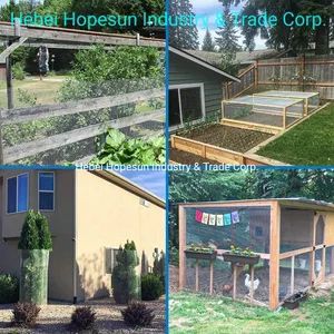 Welded Mesh Green PVC Coated 1Y ISO9001 HOPESUN China 4000RollsWk - Image 2