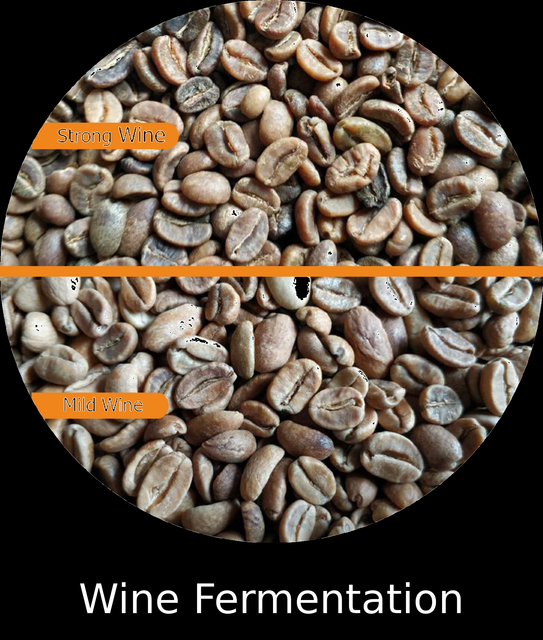 Sumatra Gayo Arabica Green Coffee Beans - Wine Fermentation Organic No Grade Specialty Decaffeinated No Bean Type Arabica - Image 3