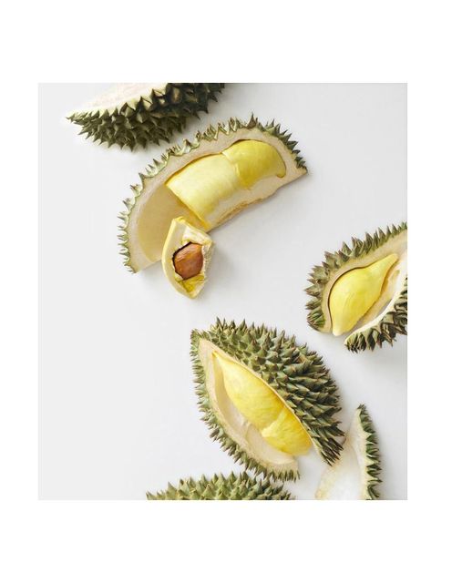 Seed Durian Fruit Export Grade Pack 500g Sweet Fresh Durians from Thailand Fresh Durian Fruit for sale Small - Image 3