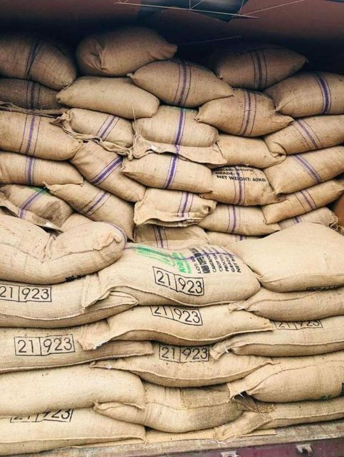Kenyan Arabica and Robusta Green Coffee - Image 2