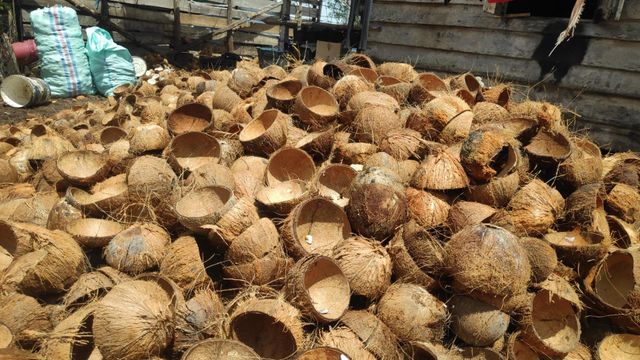 Natural Crushed Coconut Shell Raw Material for Industrial Carbon Production Water Treatment and Filtration Industries - Image 5