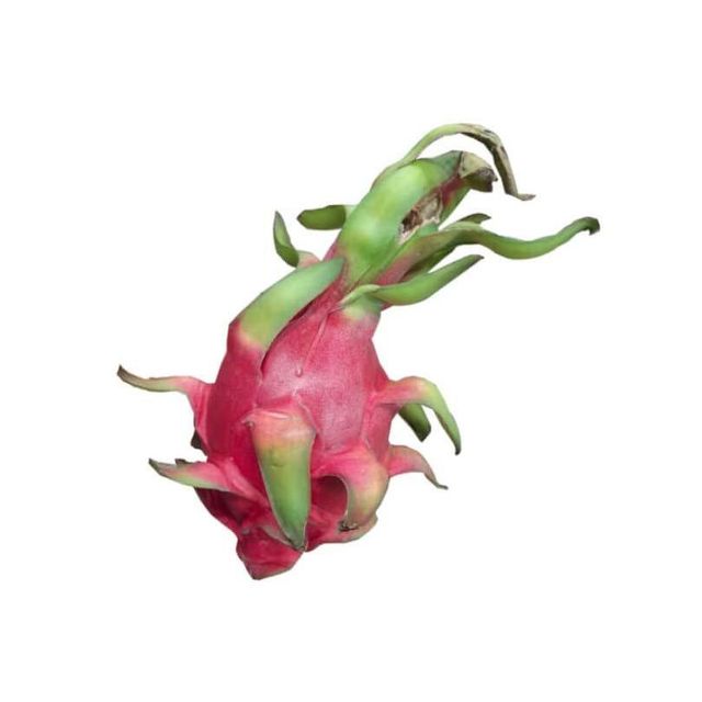 Fresh dragon fruit available in bulk for export to tropical fruit markets - Image 3
