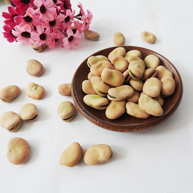 High Quality canned Broad Beans/ Fava Beans With Competitive Price 16mm - Image 4